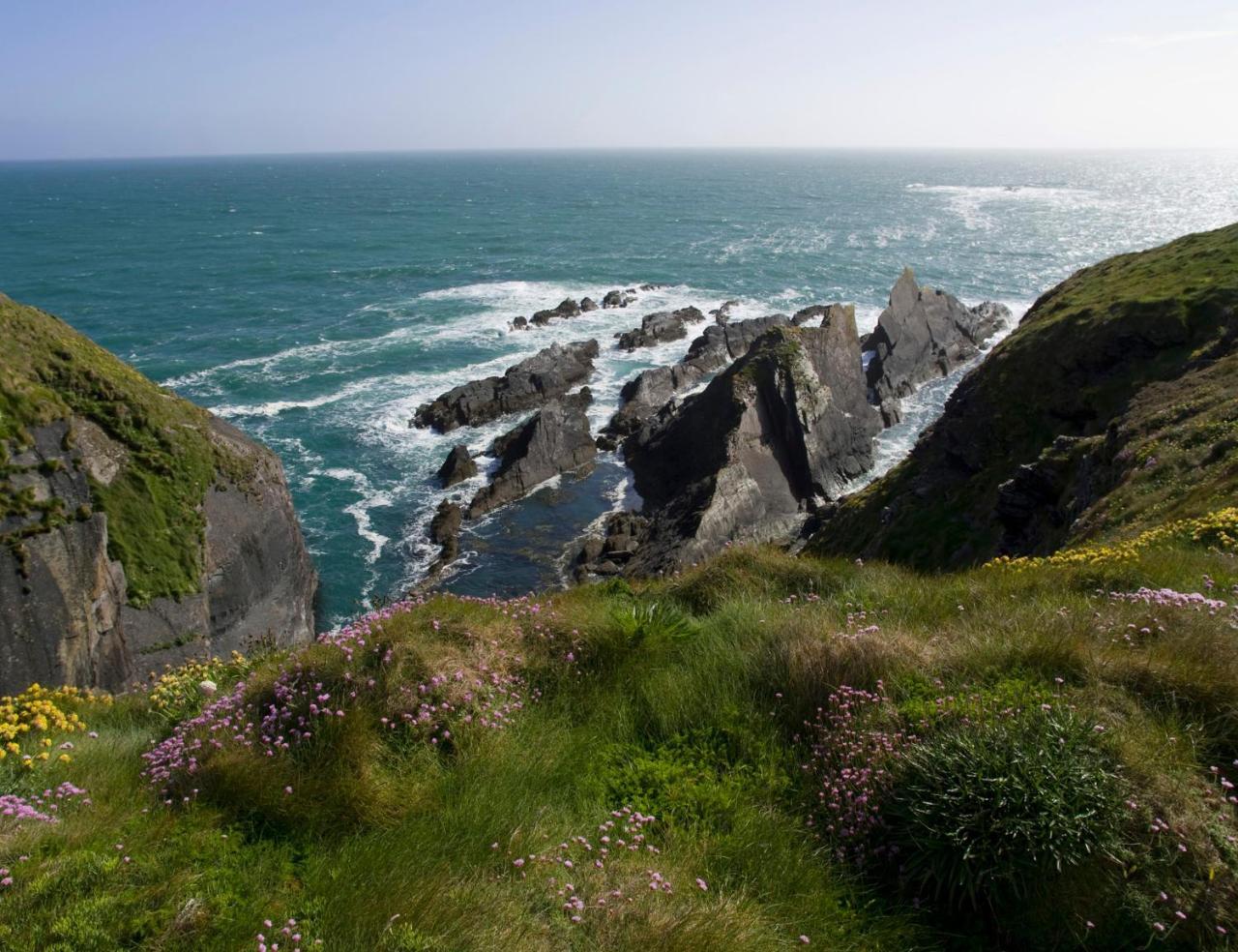 Galley Head Lightkeeper'S Houses Donoure Esterno foto